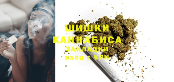 PSILOCYBIN Бронницы