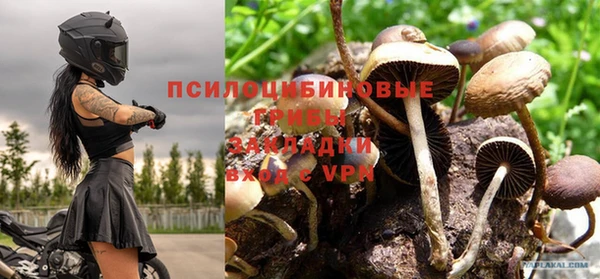 прущие крисы Богданович