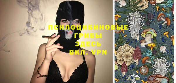 прущие крисы Богданович