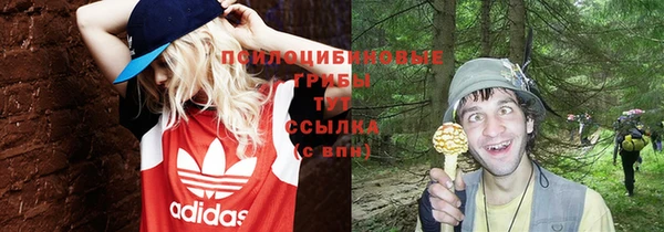мет Богородицк